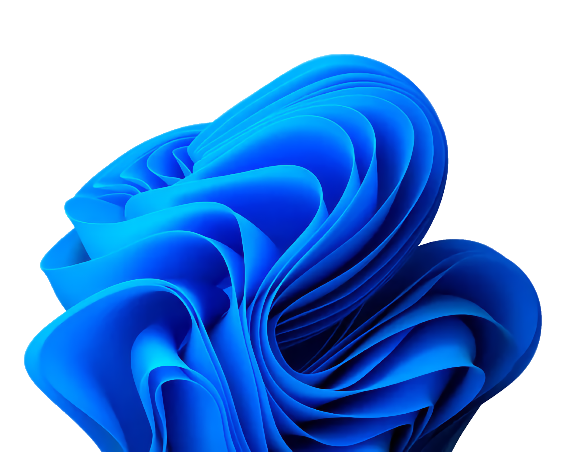 Abstract blue shape with layered, flowing curves against a white background - used by Windows 11.